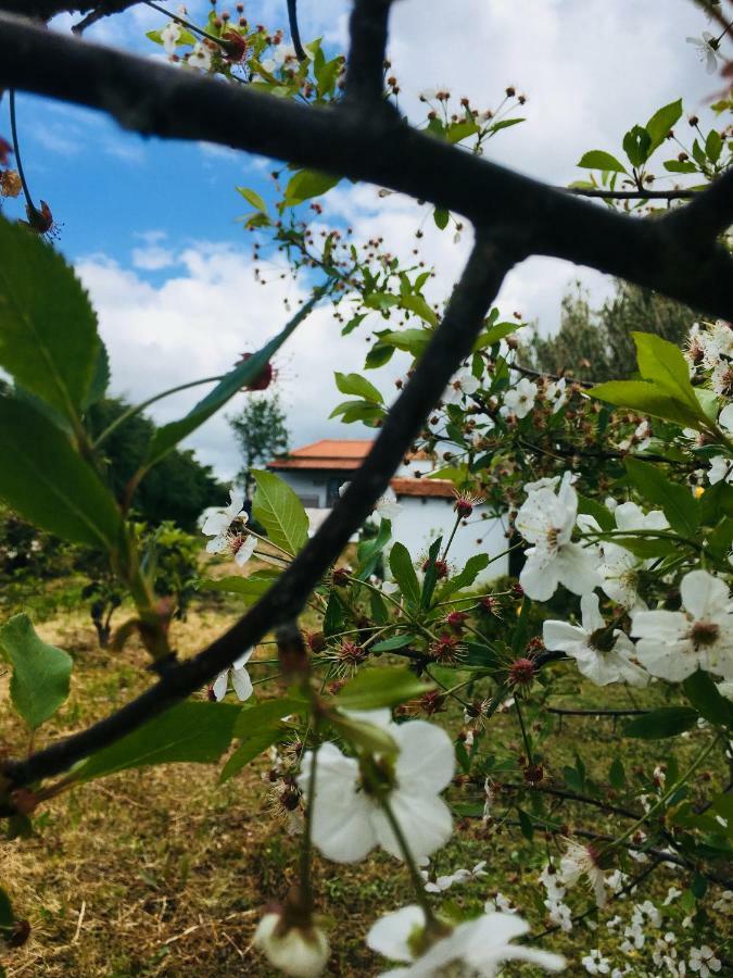 Alfeizerão A Casa Dos Avos 아파트 외부 사진