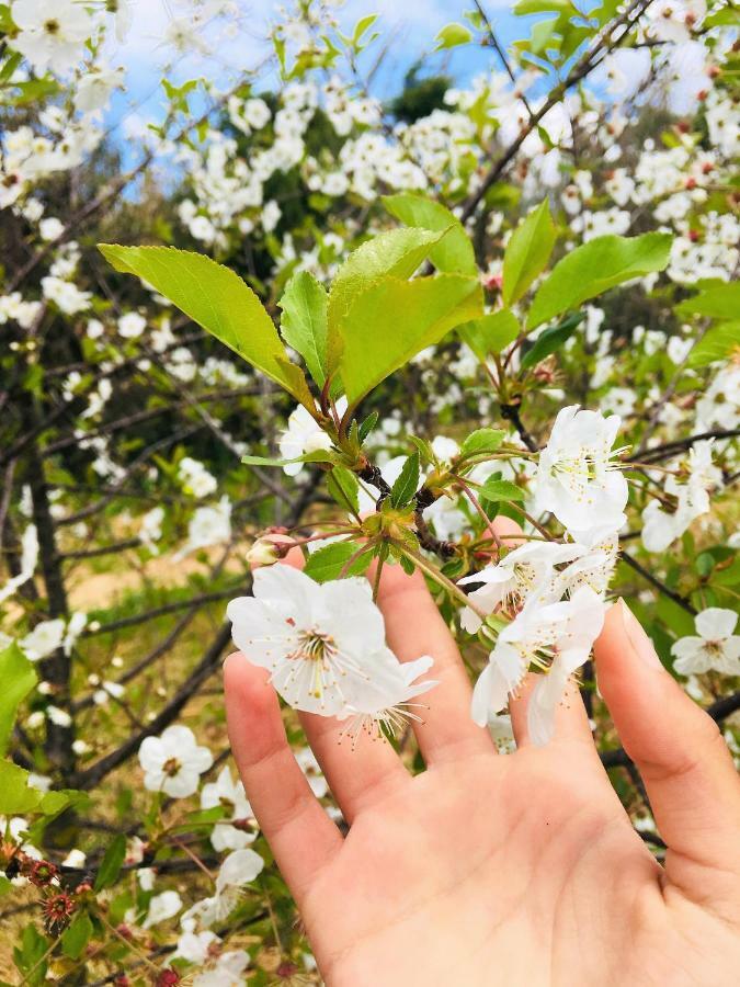 Alfeizerão A Casa Dos Avos 아파트 외부 사진